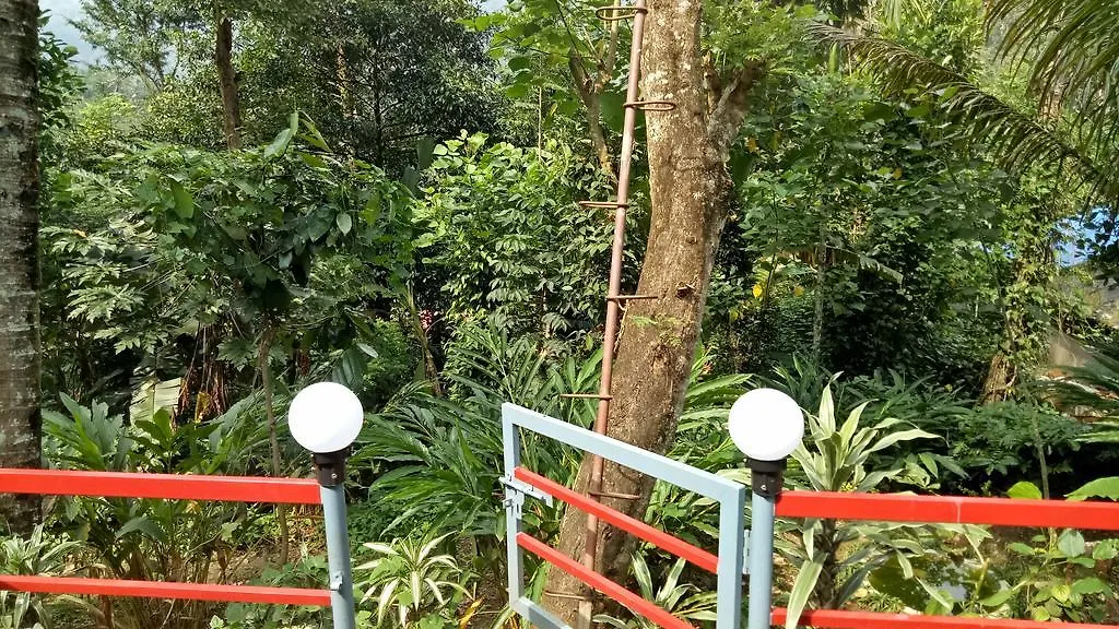 Farm stay The Wayside Cottage Munnar