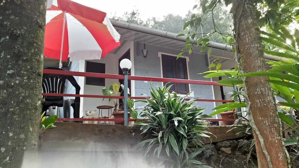 The Wayside Cottage Munnar Farm stay