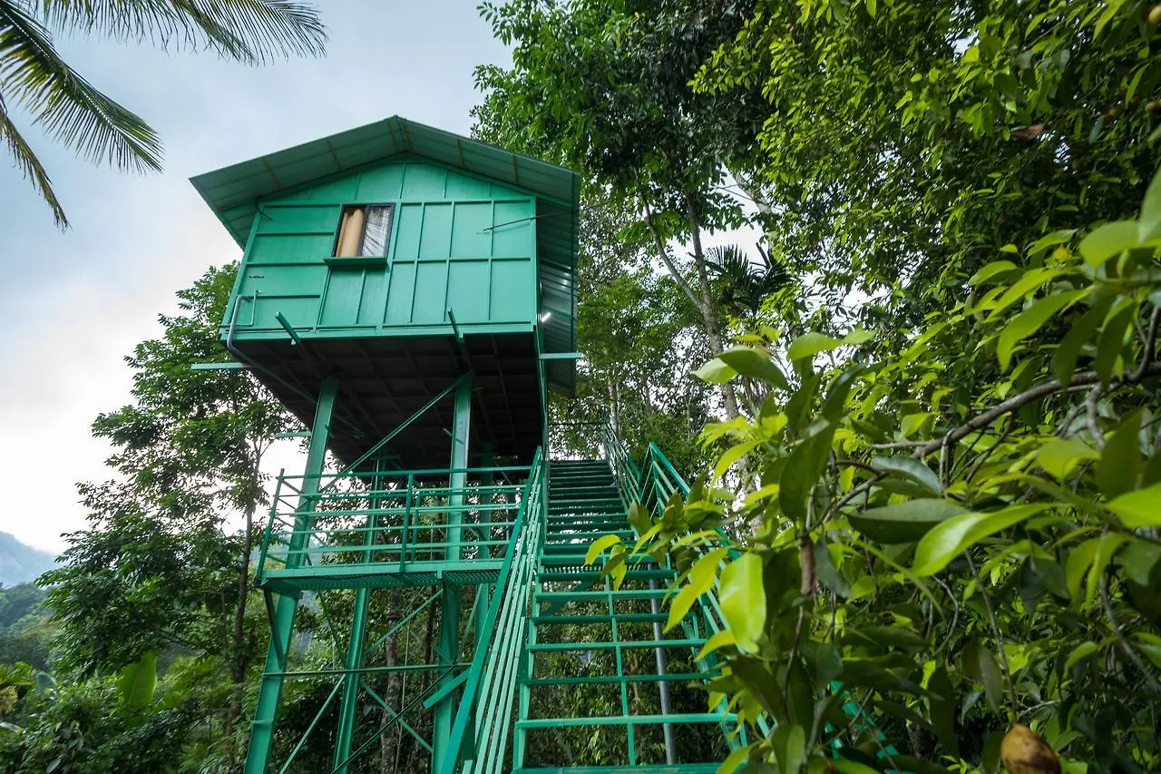 The Wayside Cottage Munnar 0*,