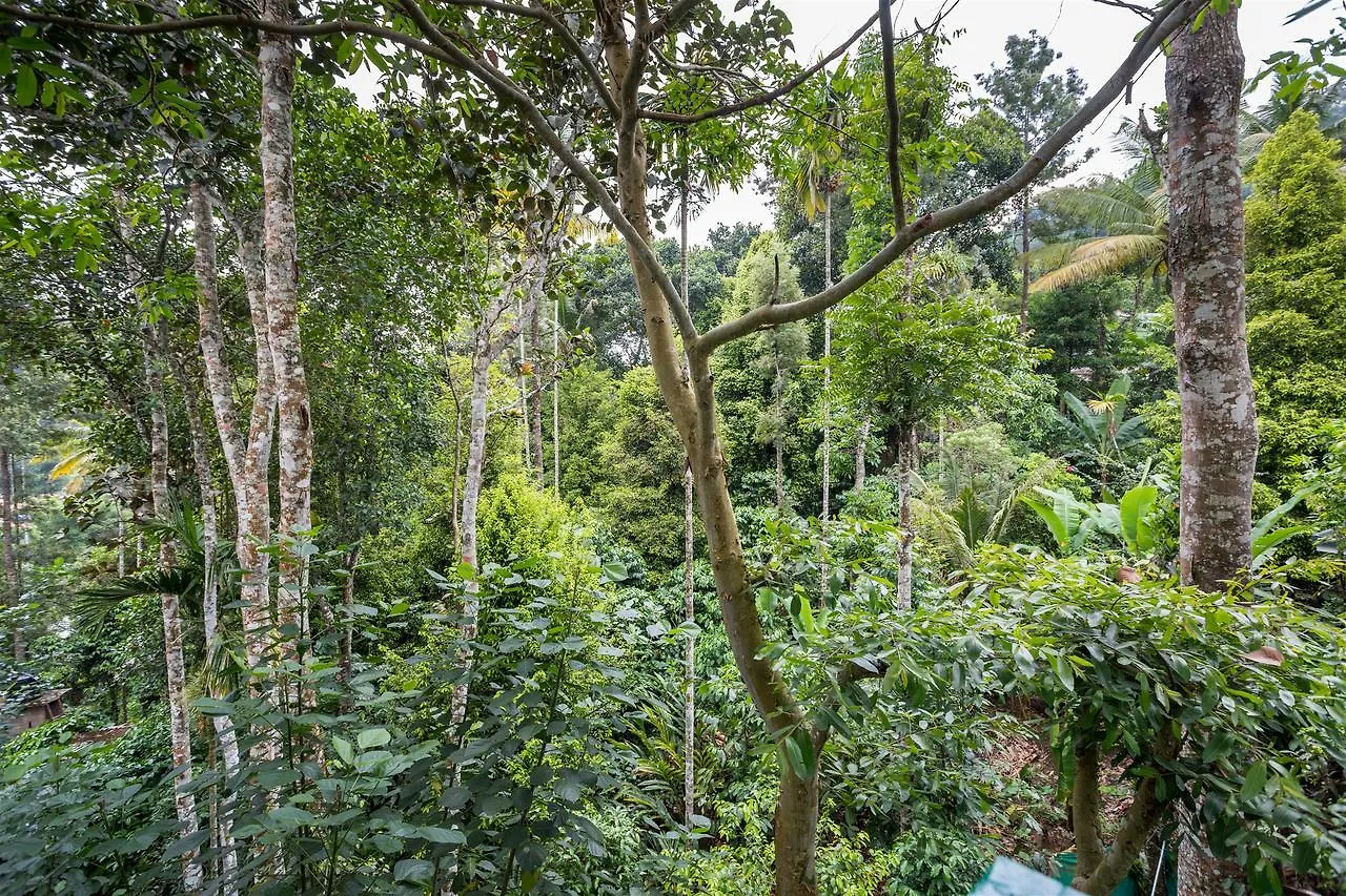 Farm stay The Wayside Cottage Munnar