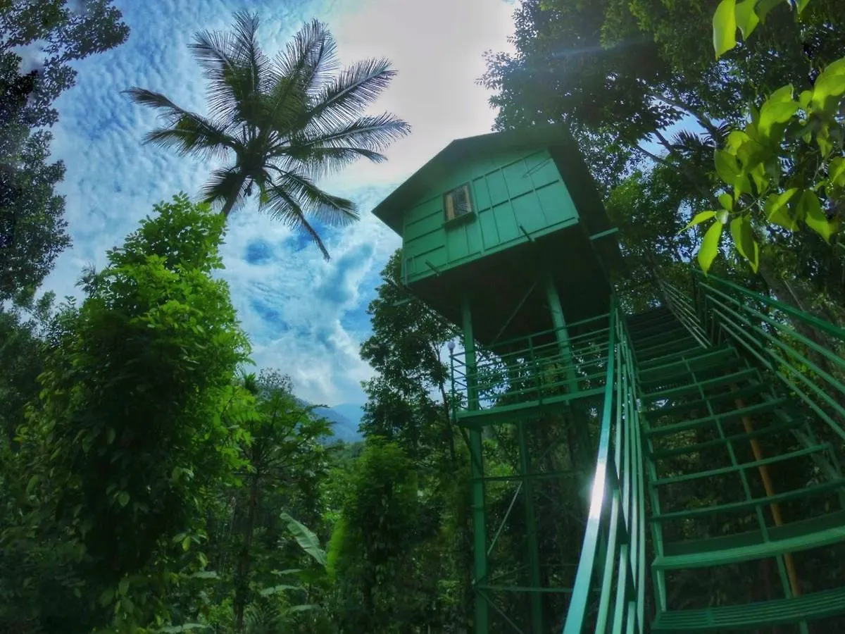 The Wayside Cottage Munnar