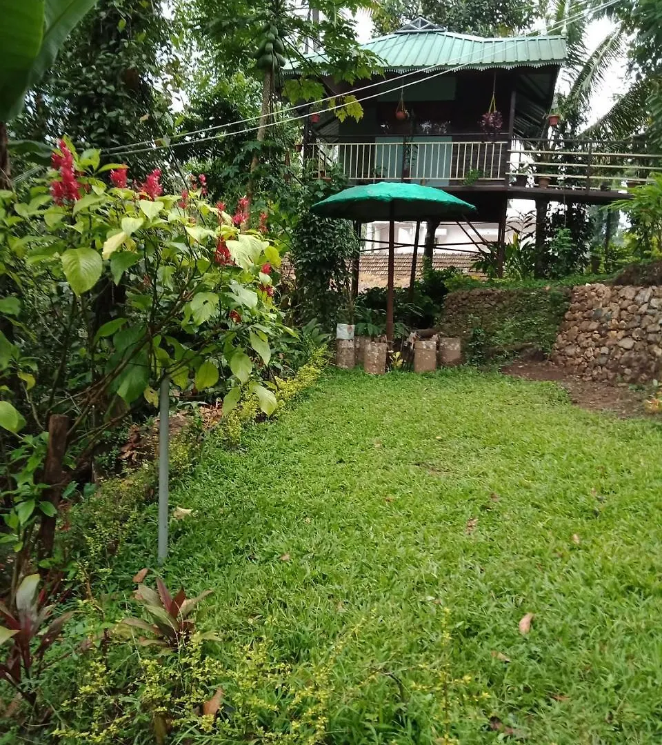 Farm stay The Wayside Cottage Munnar