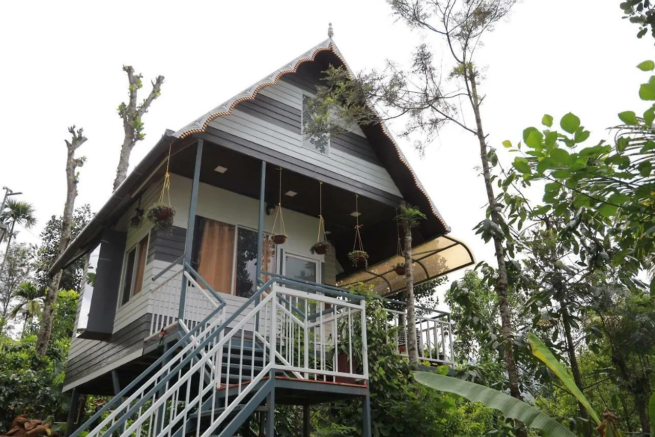 The Wayside Cottage Munnar India