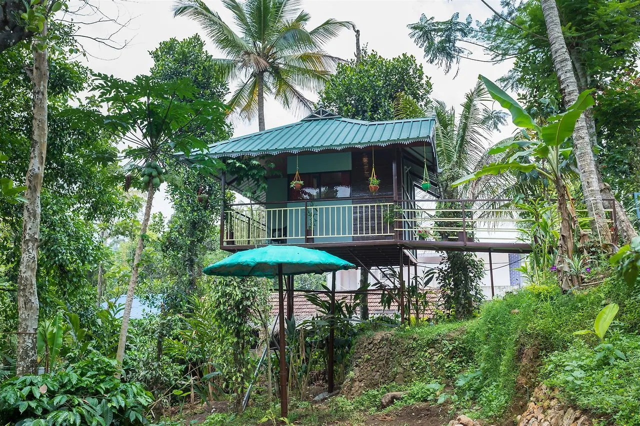 The Wayside Cottage Munnar