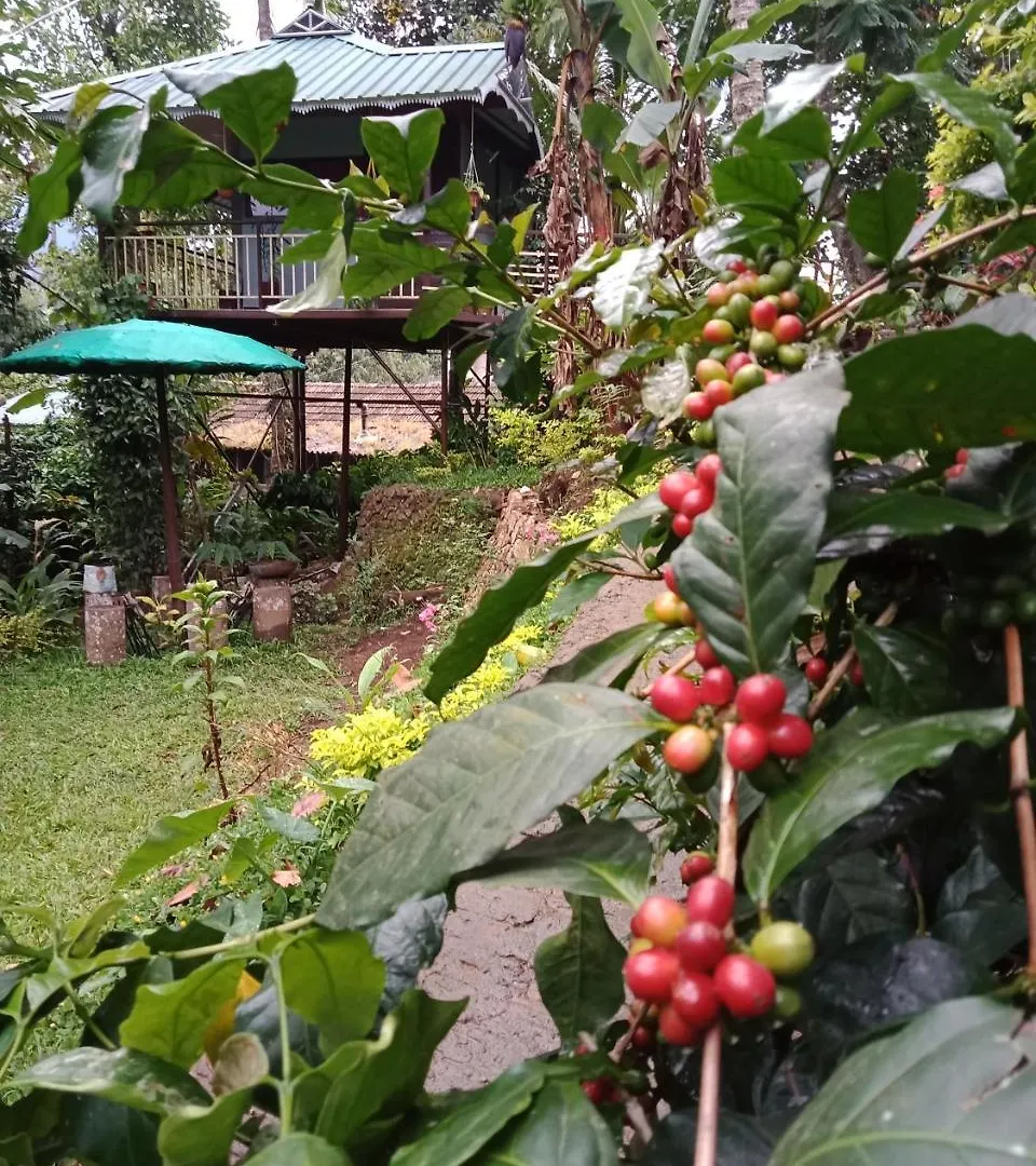 The Wayside Cottage Munnar Farmház