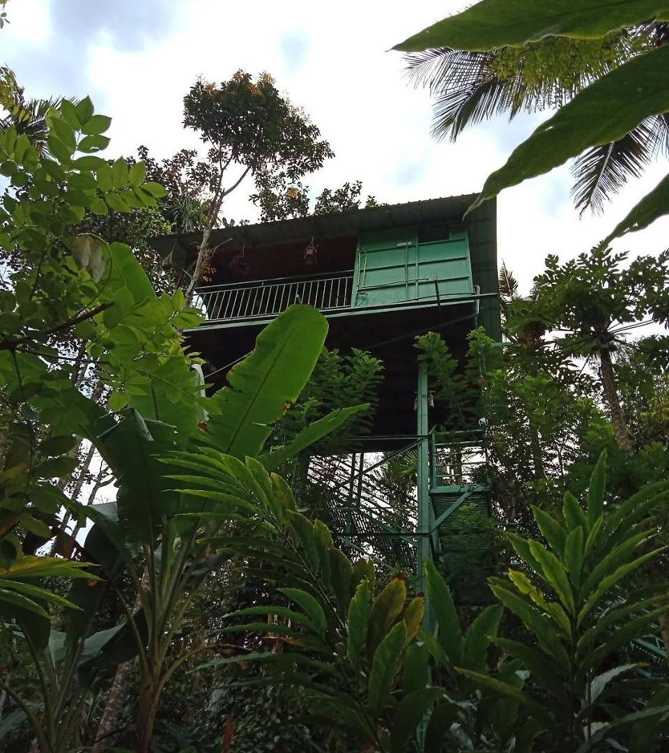 Farmház The Wayside Cottage Munnar