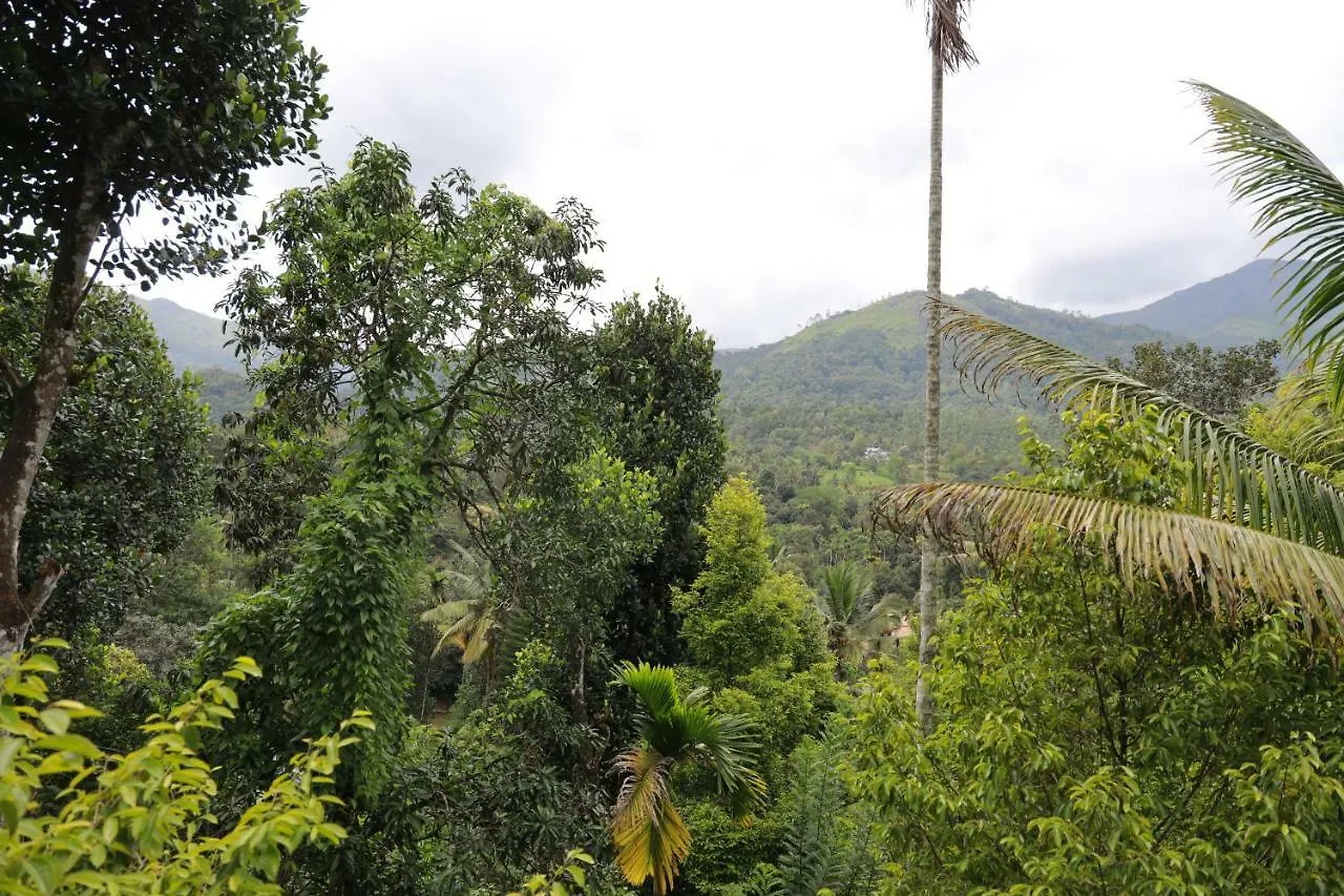 The Wayside Cottage Munnar