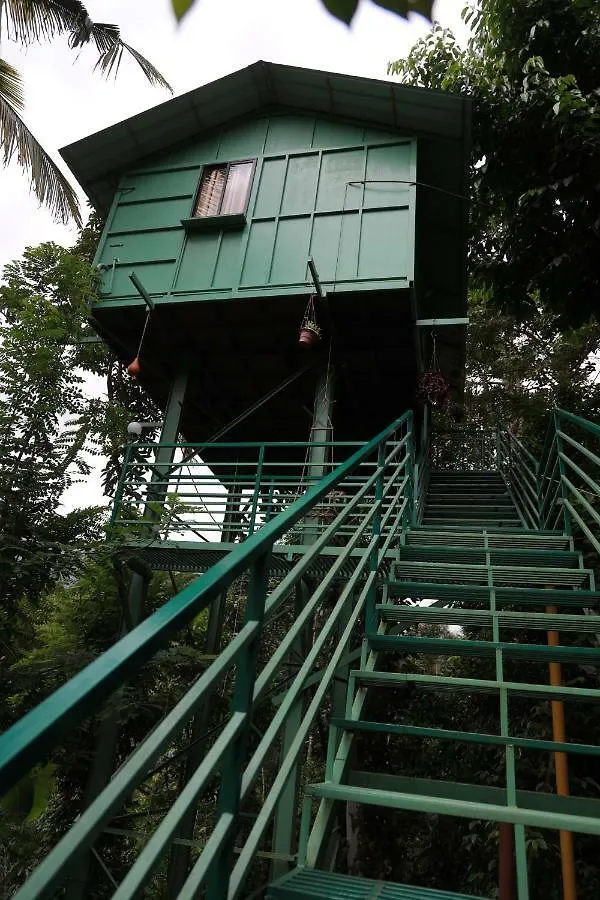 The Wayside Cottage Munnar 0*,  India